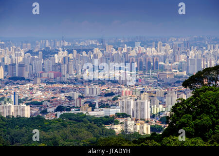 Le centre de Sao Paulo de la forêt pluviale de la Serra da Cantareira State Park, Sao Paulo, Brésil, Amérique du Sud Banque D'Images