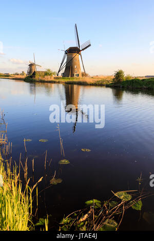 Les moulins à vent typiques reflétée dans le canal encadré par de l'herbe au printemps, Kinderdijk, UNESCO World Heritage Site, Molenwaard, Hollande méridionale, Pays-Bas Banque D'Images