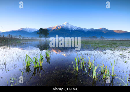 Le pic enneigé du Mont Legnone reflétée dans les terres inondées à l'aube, Pian di Spagna, Valtellina, Lombardie, Italie, Europe Banque D'Images