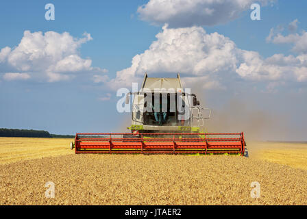 A proximité de la moissonneuse-batteuse moderne en action. Banque D'Images