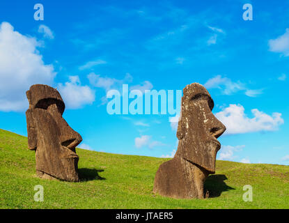 Moais à la carrière sur la pente du volcan Rano Raraku, Parc national de Rapa Nui, UNESCO, Île de Pâques, Chili Banque D'Images