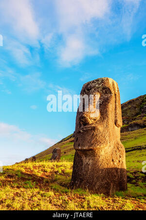 Moais à la carrière sur la pente du volcan Rano Raraku, Parc national de Rapa Nui, UNESCO, Île de Pâques, Chili Banque D'Images