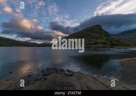 Nid d'aigle, le Parc National de Killarney, comté de Kerry, Munster, République d'Irlande, Europe Banque D'Images