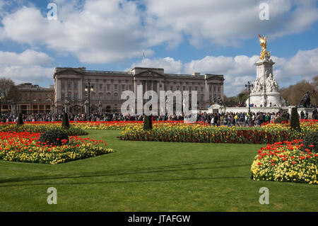 Le palais de Buckingham, Londres, Angleterre, Royaume-Uni, Europe Banque D'Images