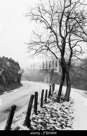 Une route sinueuse au milieu de la neige, avec un arbre sur le côté Banque D'Images