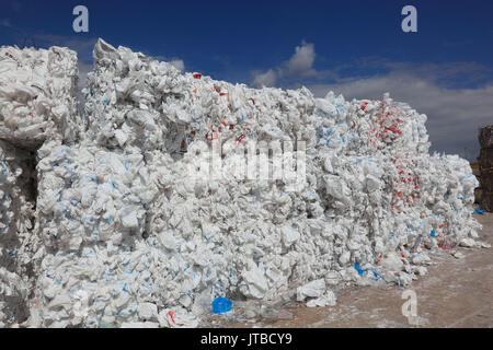 De Balles avec type-pure foutaise, feuilles en plastique, dans une entreprise de recyclage, sortenreinen Kunststoffabfaellen, Ballen mit Folien, dans un Recyclingbetrieb Banque D'Images