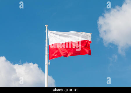 Brandissant le drapeau national de la Pologne sur un mât, couleurs nationales de la Pologne. Banque D'Images