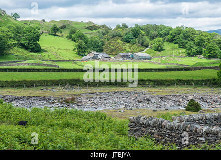 Vallée de Tilberthwaite dans le parc national du Lake District, Cumbria Banque D'Images