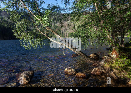 Lac glaciaire de cerne noir, dans les montagnes de Sumava jezero, Parc National, République Tchèque Banque D'Images