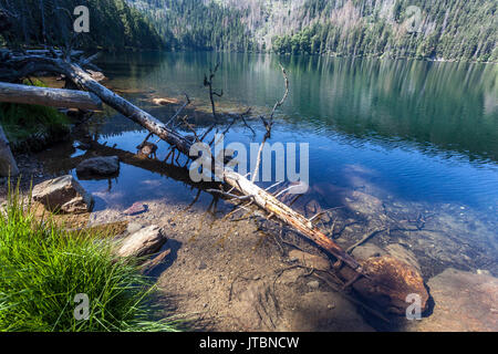 Lac glaciaire de cerne noir, dans les montagnes de Sumava jezero, Parc National, République Tchèque Banque D'Images