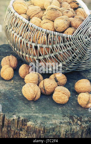 Panier de noix sur une souche au soleil tonifiant Banque D'Images