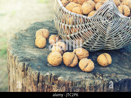 Panier de noix sur une souche au soleil tonifiant Banque D'Images