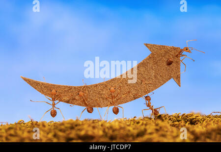 Les fourmis transportent l'augmentation de flèche pour business graph, d'affaires et d'équipe concept Banque D'Images