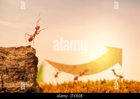 Les fourmis transportent l'augmentation de flèche pour business graph, d'affaires et d'équipe concept Banque D'Images