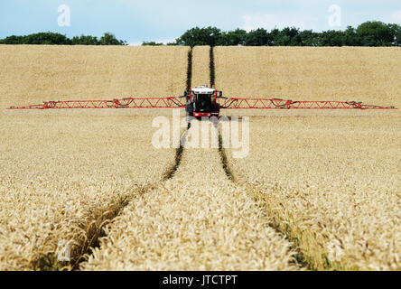 Une machine de pulvérisation agricole de pulvériser un champ de blé dans la région de West Lothian, en Ecosse. Banque D'Images