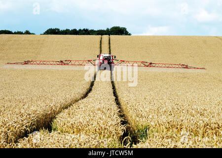 Une machine de pulvérisation agricole de pulvériser un champ de blé dans la région de West Lothian, en Ecosse. Banque D'Images