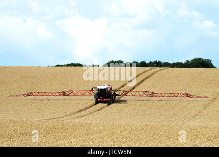 Une machine de pulvérisation agricole de pulvériser un champ de blé dans la région de West Lothian, en Ecosse. Banque D'Images