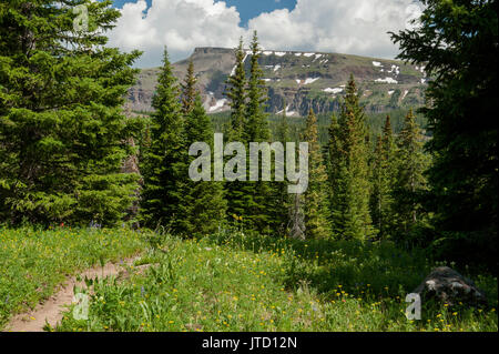 Un bluff sans nom du Colorado's Flat Tops Montagnes, Vue depuis le sentier du lac Smith à l'apogée de la saison des fleurs sauvages. Banque D'Images