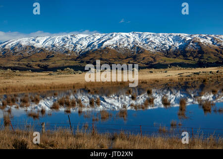 Étang de ferme et Rock et plage de pilier, Sutton, près de Middlemarch, Taieri Strath, Otago, île du Sud, Nouvelle-Zélande Banque D'Images