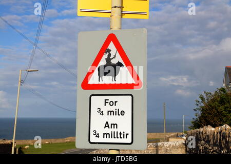 Signe que la route locale a été artisticaly modifié par un humoriste en mettant un chevalier en armure sur le dos d'un mouton. Banque D'Images