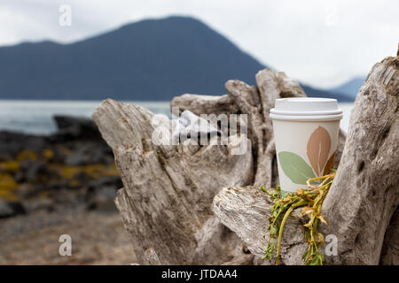 Une tasse de café en plastique à gauche sur une branche arbre à la plage, à l'Alaska. Banque D'Images