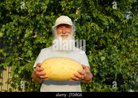 Melon mûr issu de l'homme dans les mains sur bachground en bois naturel. Agriculteur. Banque D'Images