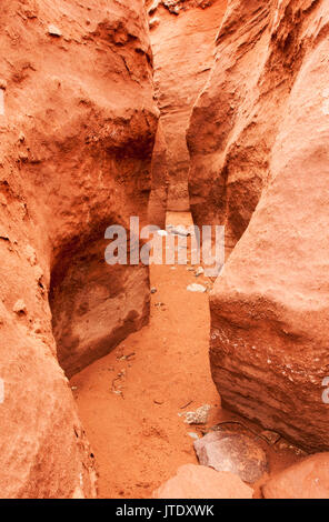 SLot Canyon, Lake Havasu, désert de Sonora, en Arizona Banque D'Images