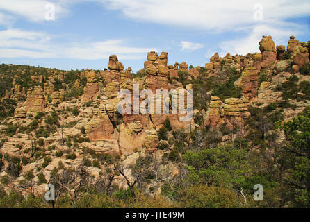 Echo Canyon rock formation hoodoos en Monument National Chiricahua près de Wilcox, dans le sud de l'Arizona, USA. Banque D'Images