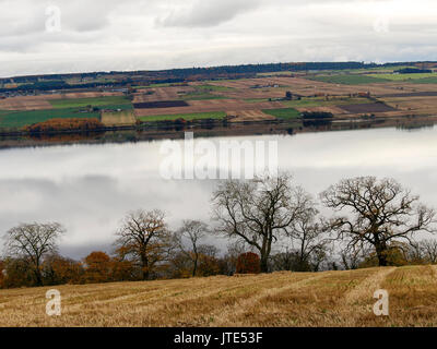 Ecosse, Highlands, paysages écossais, champs d'élevage, Hay, Automne, arbres, buissons et arbustes, champs, eau salée, Verdure, Nuageux, Météo couvert Banque D'Images