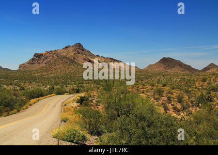 Ciel bleu de l'espace de copie et sinueuse route près de la pointe du tuyau d'Orgue Pinkley dans Cactus National Monument à AJO, Arizona, USA y compris un grand assortiment de des Banque D'Images