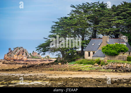 France, Bretagne, Côtes-d'armor, un gîte cottage dans le paysage littoral rocheux de Buguélès, Côte de granit rose, Côte de Granit Rose Banque D'Images