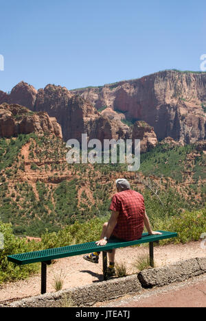 Homme de race blanche (60 à 70 ans) bénéficiant d'une vue imprenable sur Hanging Valley Kolob Canyons au parc national de Zion Springdale Utah, États-Unis. Banque D'Images