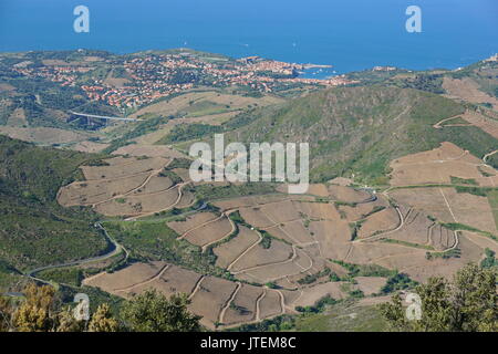 France Pyrénées-orientales Collioure village et champs de vignes, paysage méditerranéen, vu depuis les hauteurs, côte Vermeille, Roussillon Banque D'Images