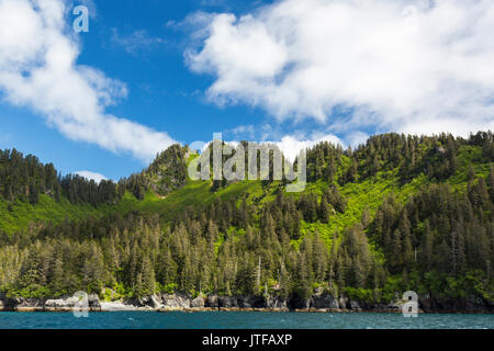 Littoral de la résurrection Bay, île de Kenai, Alaska, USA Banque D'Images