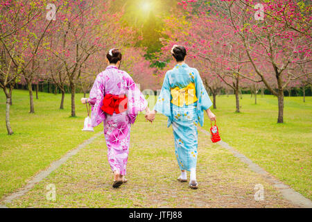 Le port joli kimono japon pour marcher ensemble main dans la main sur le cerisier en fleurs jardin profitant de la vue des fleurs roses en été aftern Banque D'Images