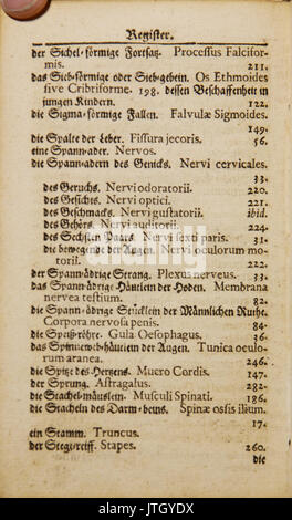 Wesling Kuenstliche Zerlegung r 025 Banque D'Images