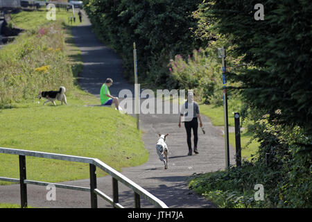 Clydebank, Glasgow, Ecosse, Royaume-Uni. 9e août. Dog Walkers profitez de l'été temps qu'il retourne et habitants profitez de l'été sur le Forth and Clyde canal comme l'Ecosse les captures le soleil et le Royaume-Uni subit différents Crédit : météo Gérard ferry/Alamy Live News Banque D'Images