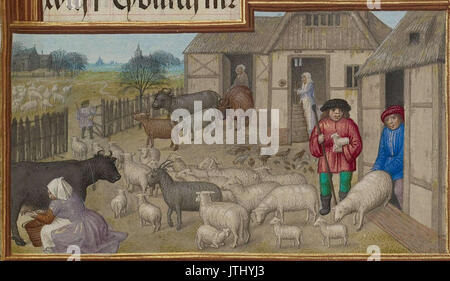 Atelier du maître de Jacques IV d'Écosse (flamande, avant 1465 environ 1541) Animaux de ferme, la traite, et Buttermaking ; signe du taureau détail Banque D'Images