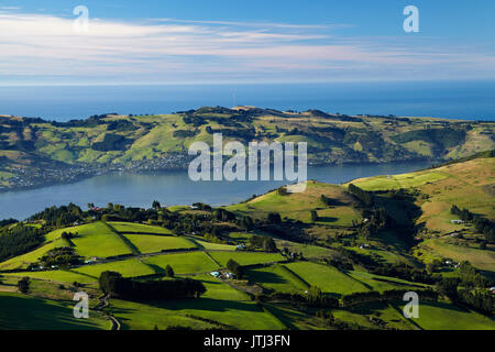 Terres agricoles à la jonction, et d'Otago Harbour et péninsule d'Otago, Dunedin, Nouvelle-Zélande, île du Sud Banque D'Images