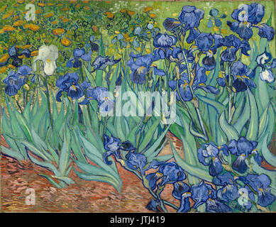 Vincent van Gogh Iris (1889) Banque D'Images