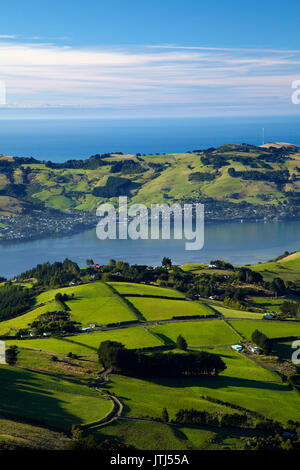 Terres agricoles à la jonction, et d'Otago Harbour et péninsule d'Otago, Dunedin, Nouvelle-Zélande, île du Sud Banque D'Images