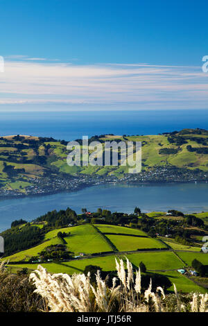 Terres agricoles à la jonction, et d'Otago Harbour et péninsule d'Otago, Dunedin, Nouvelle-Zélande, île du Sud Banque D'Images