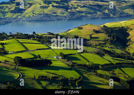 Terres agricoles à la jonction, et d'Otago Harbour et péninsule d'Otago, Dunedin, Nouvelle-Zélande, île du Sud Banque D'Images