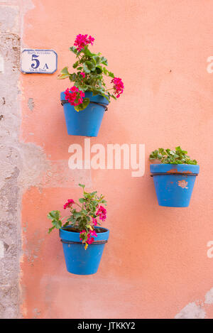 Trois pots bleu accroché sur un mur rose pastel avec des plantes géranium à fleurs roses Banque D'Images