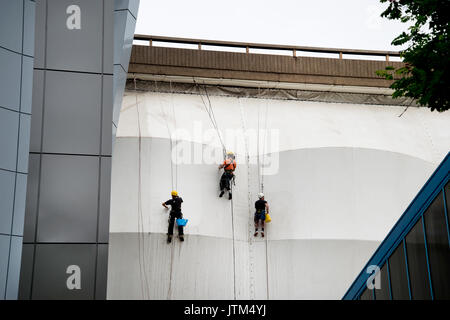 L'ouest de Londres. Abseilers nettoyer sous l'autoroute Westway Banque D'Images