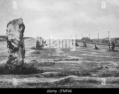 Le comité permanent de l'avenue Pierre à Avebury près de Marlborough dans les années 40 Banque D'Images