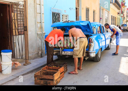 La vie de la rue cubaine - fruits frais est déchargé à partir d'une voiture classique à vendre dans la Vieille Havane, Cuba Banque D'Images