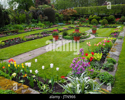 Chenies Manor jardin en contrebas au temps des tulipes. Vue paysage d'un joli jardin au printemps soleil ; bassin d'agrément, les chemins avec des pétales rétroéclairé. Banque D'Images