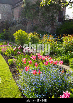 Chenies Manor jardin en contrebas avec pavilion gallery à la maçonnerie. Tulipes a mis en évidence avec la luminosité de l'après-midi. Les frontières de l'usine de soleil face à l'ouest. Vue Portrait. Banque D'Images