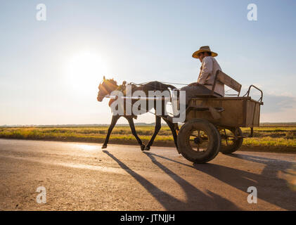 Un homme sur un chariot passe par dans la campagne de la région de Cienfuegos Banque D'Images